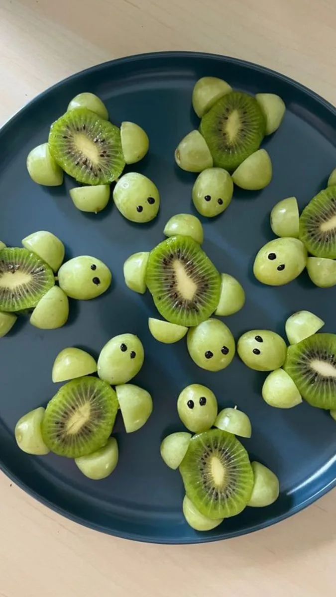 Tortue 🐢 kiwi 🥝