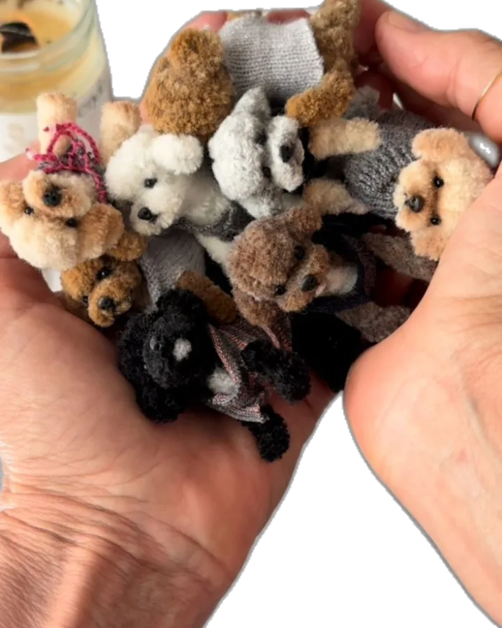 pipe cleaner poodle