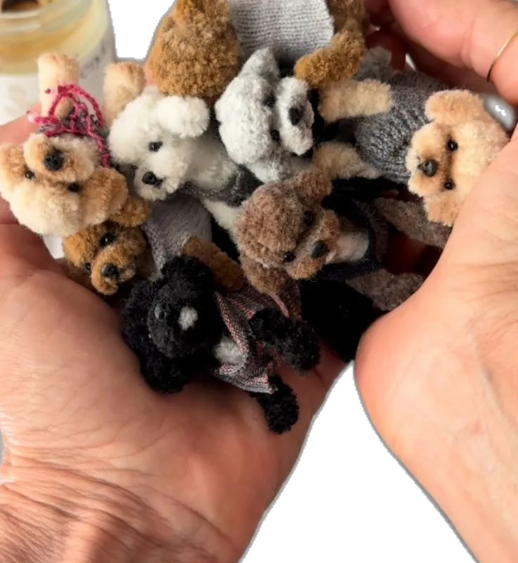 pipe cleaner poodle
