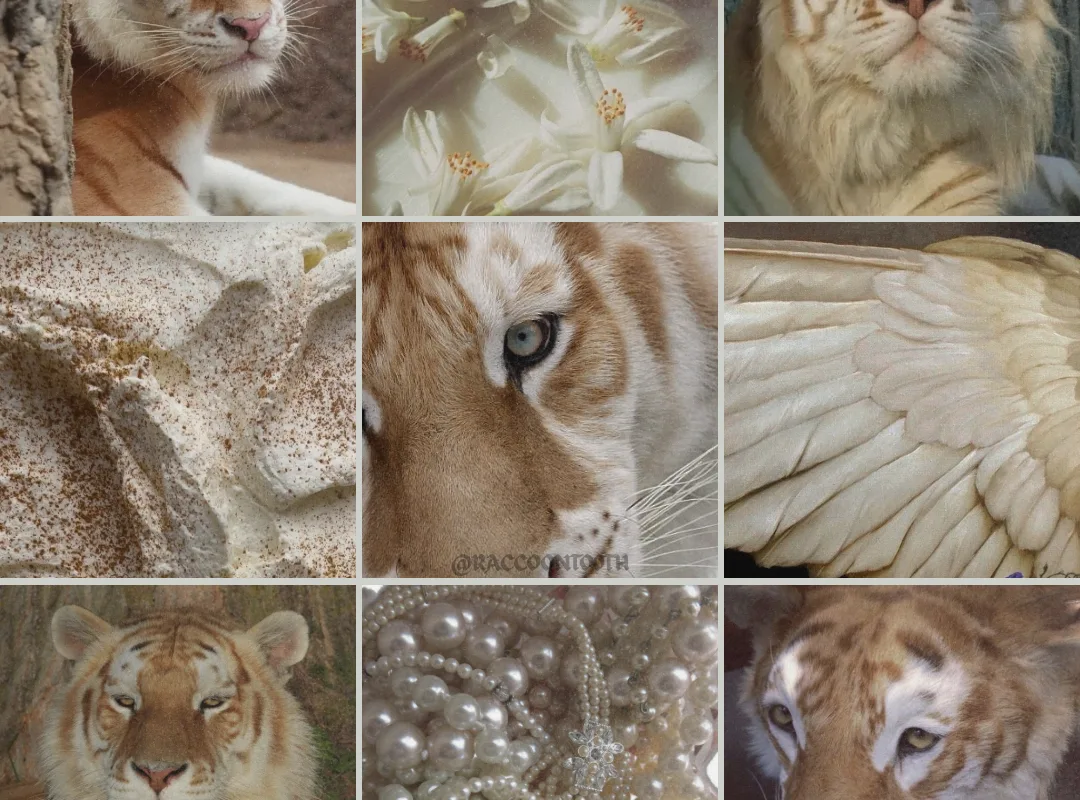 golden tiger moodboard