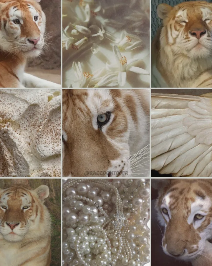 golden tiger moodboard