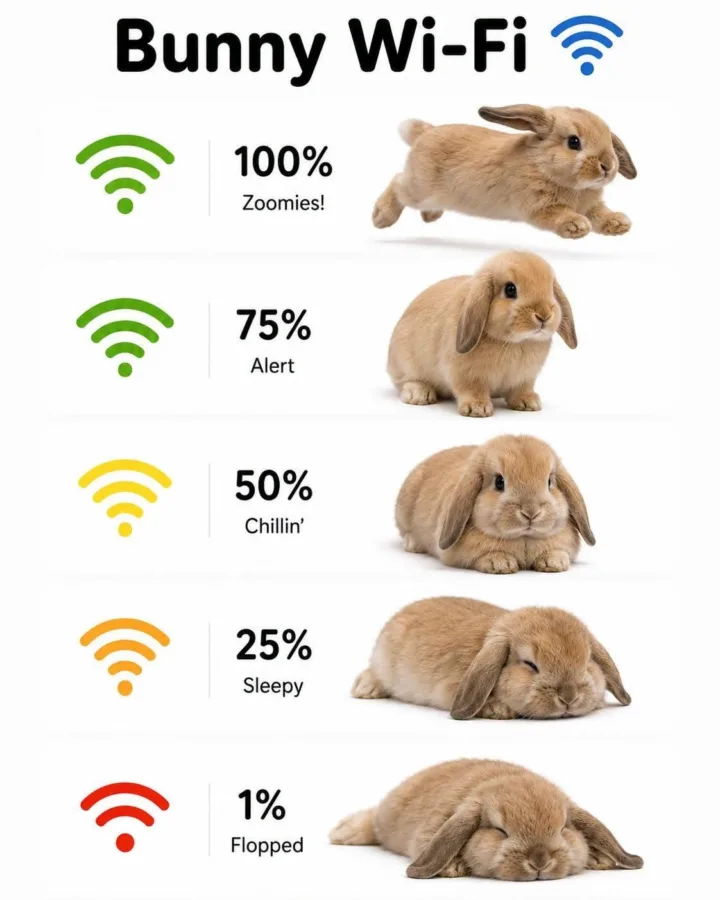 Pinterest image size