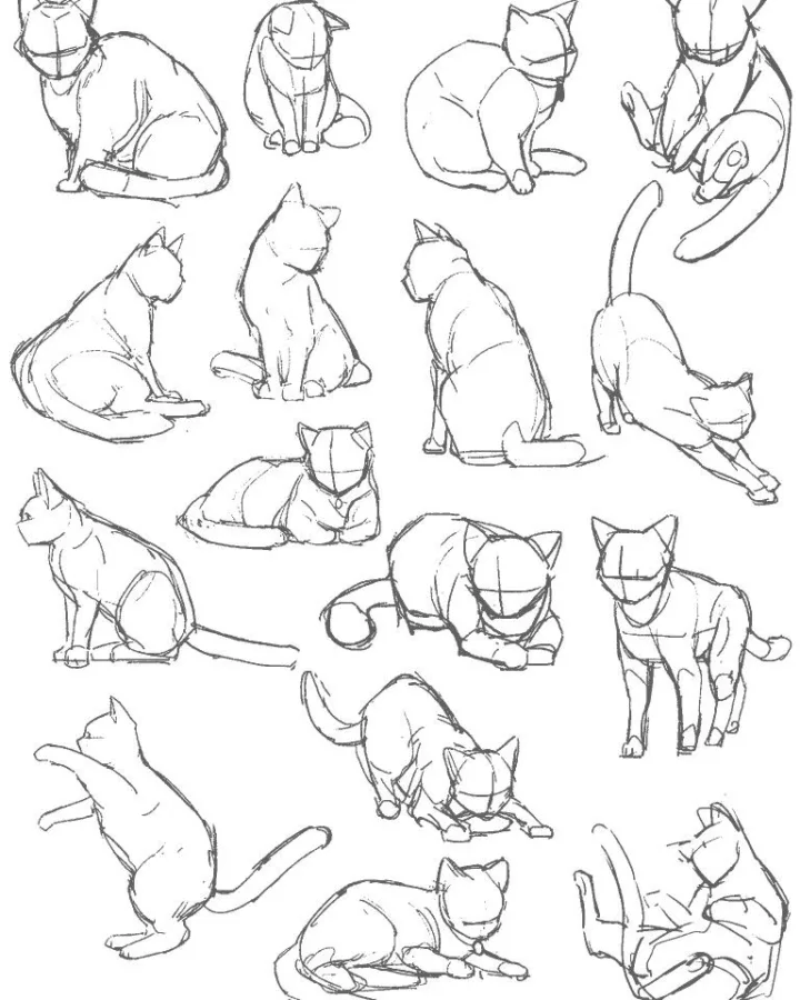 pinterest image size