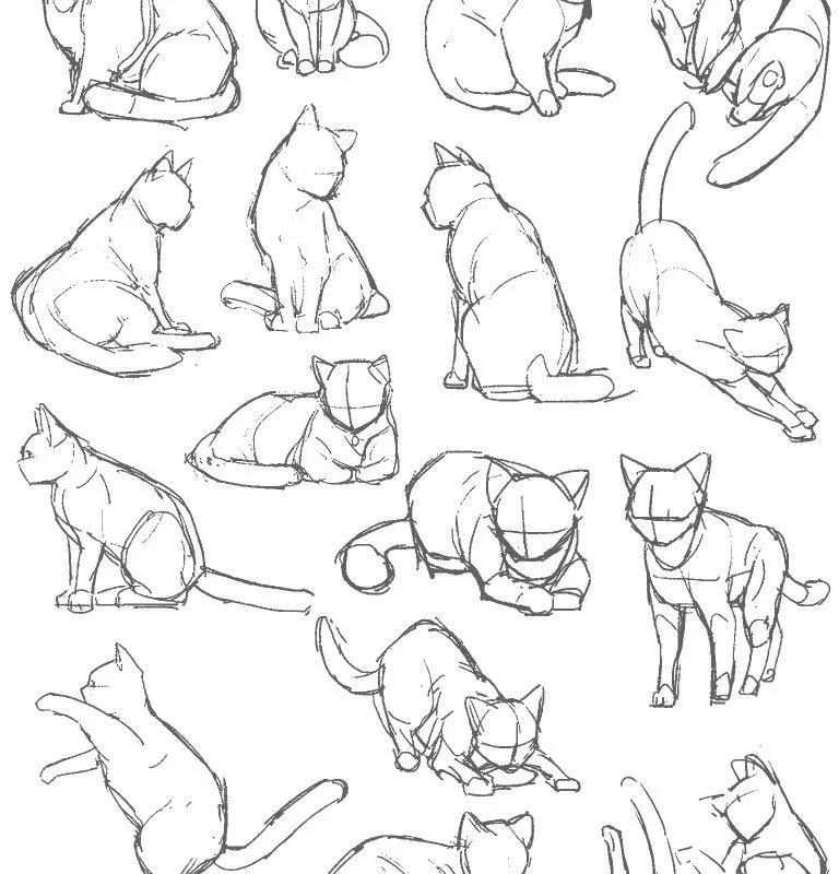 pinterest image size