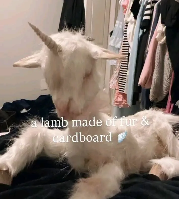 baby lamb unicorn drawing