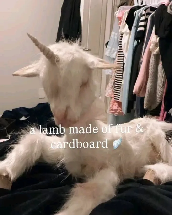 baby lamb unicorn drawing