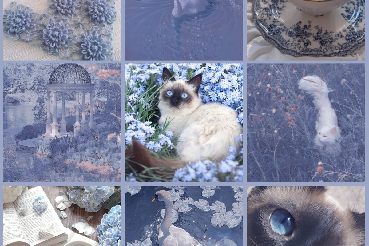 how to create a moodboard