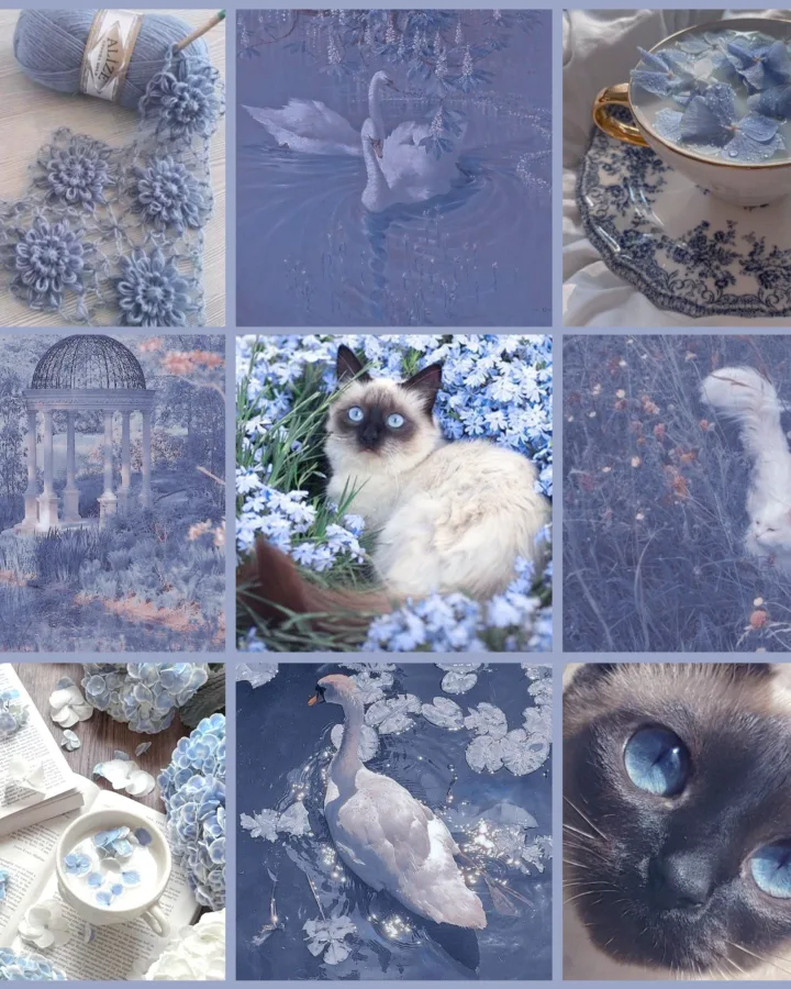 how to create a moodboard