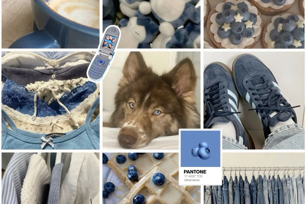 blueberry husky moodboard