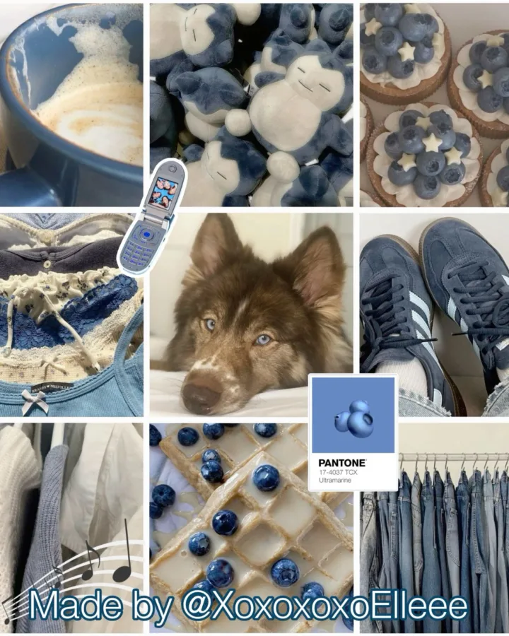 blueberry husky moodboard