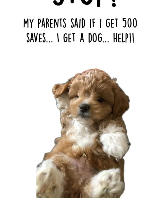 pinterest image size