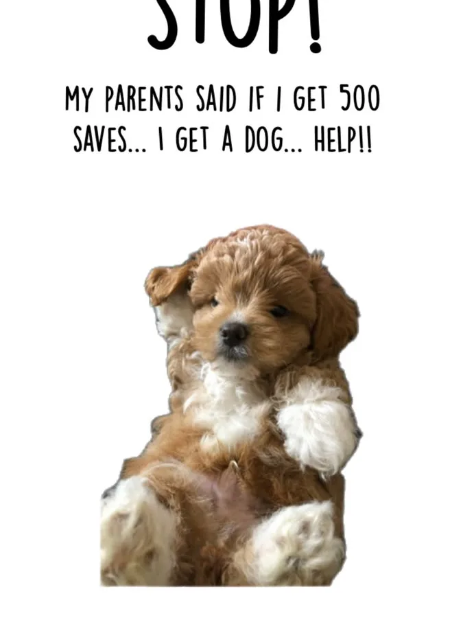 pinterest image size