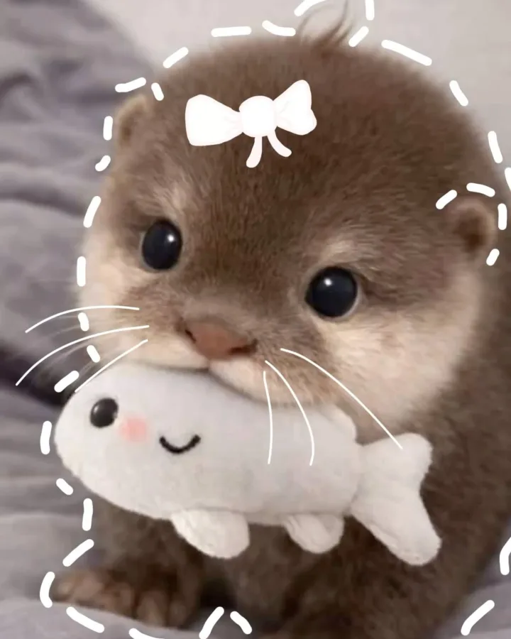 sooooo cuteee comments