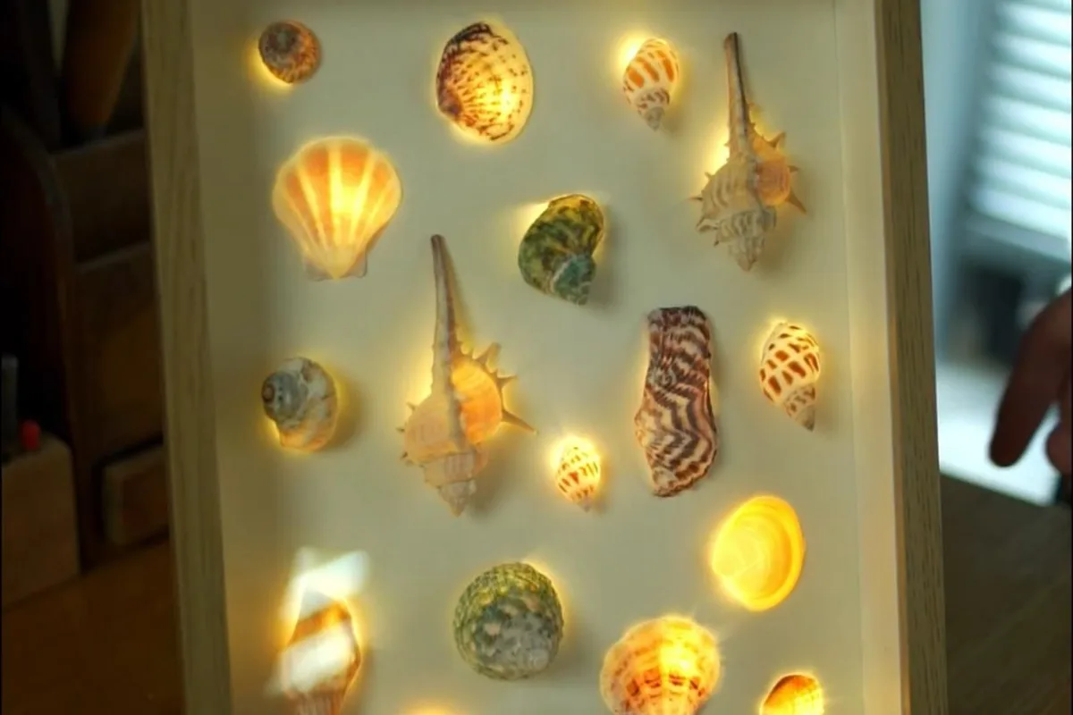 DIY seashell picture frame