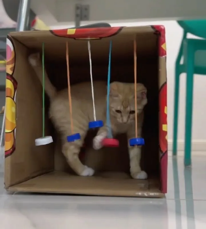 homemade cat toys