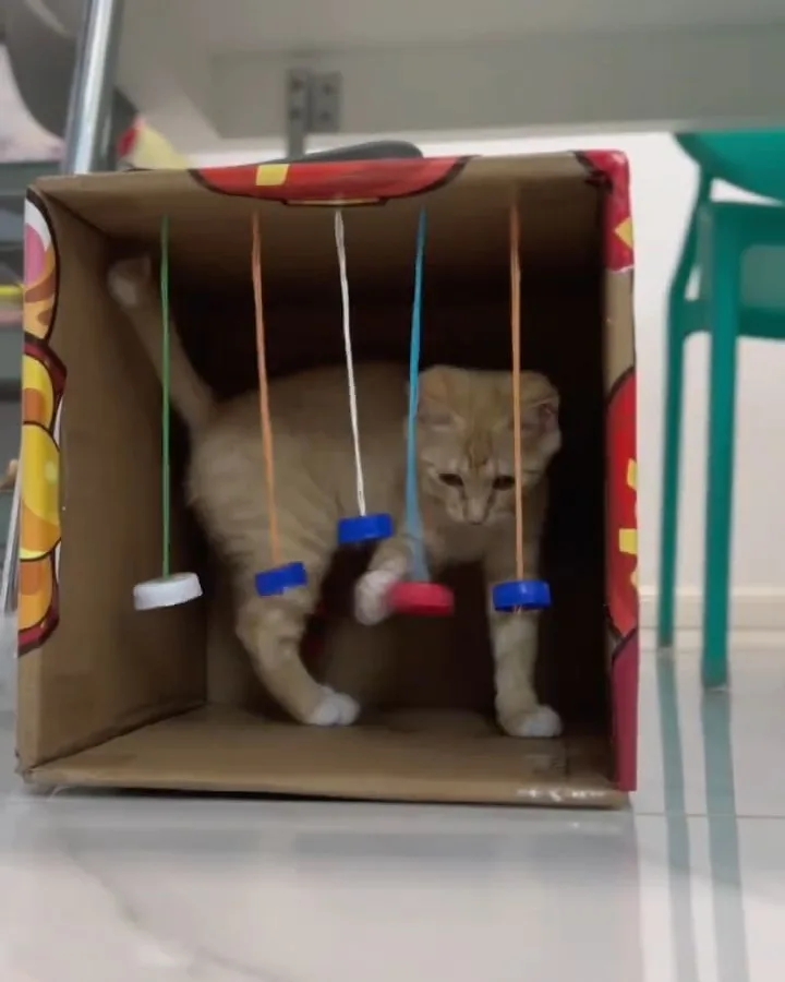 homemade cat toys