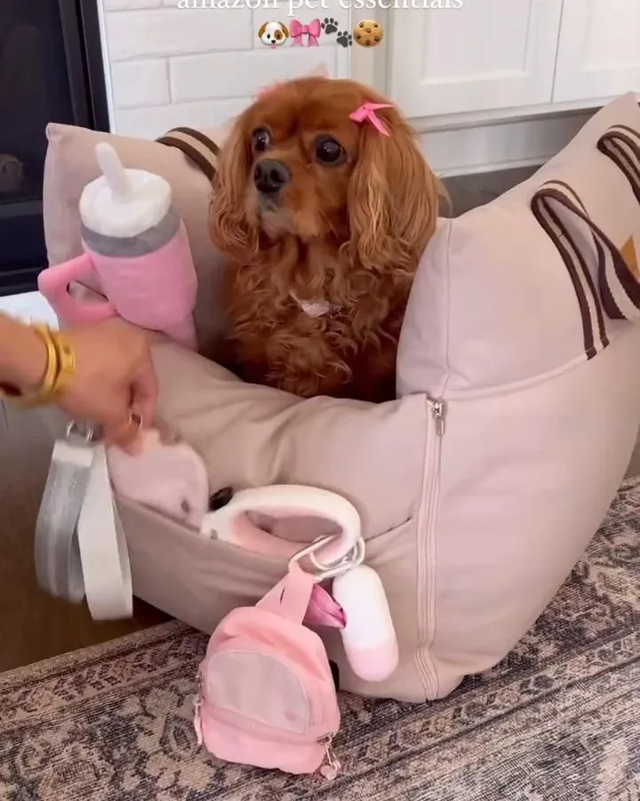 amazon pet essentials