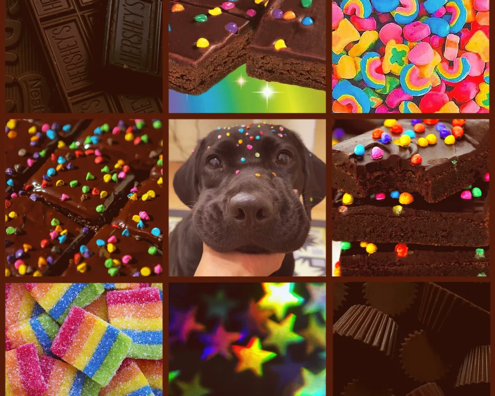 rainbow cosmic brownie dog moodboard
