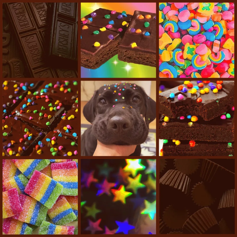 Rainbow Cosmic Brownie Dog Moodboard