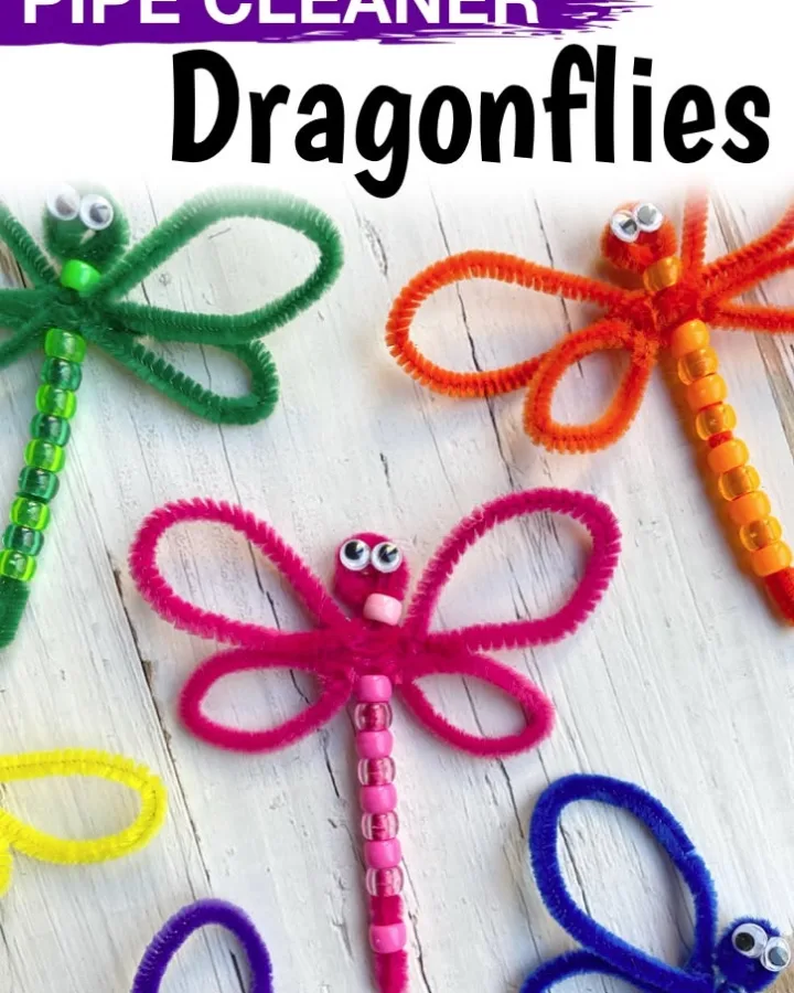 beaded pipe cleaner dragonfly
