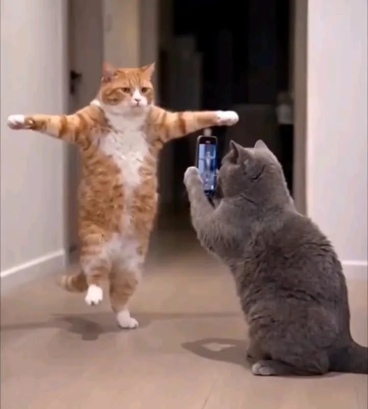 pinterest image size