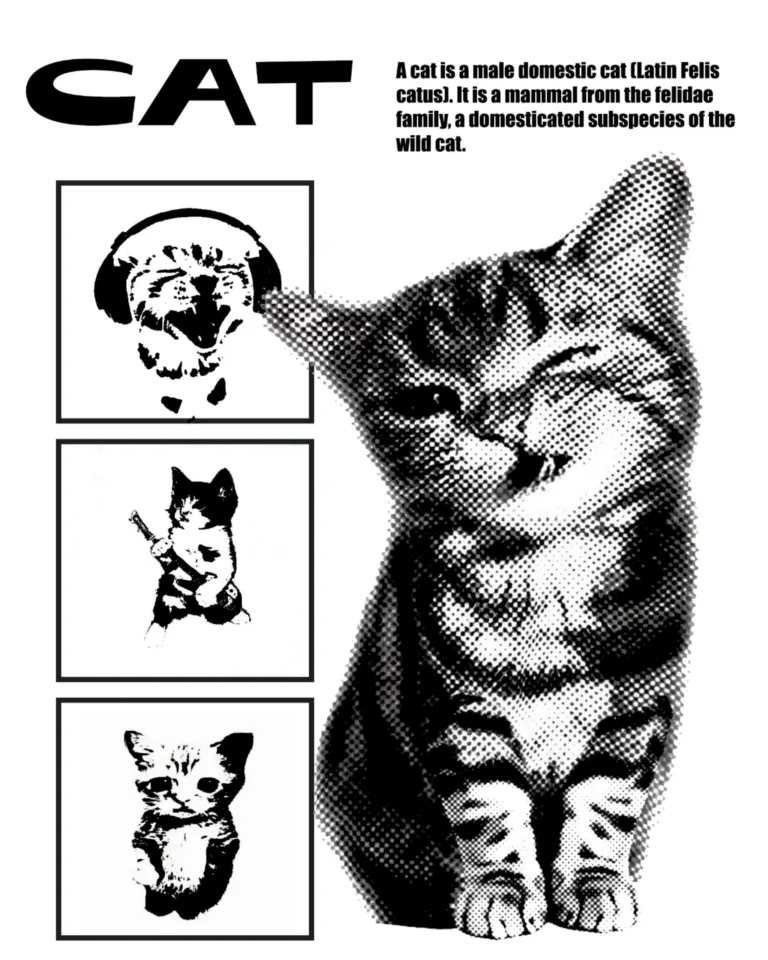 pinterest image size