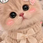 pinterest image size