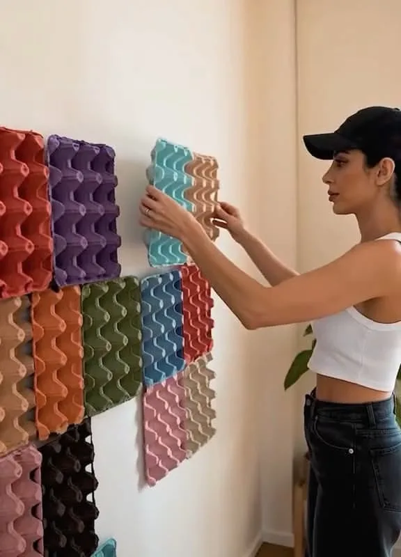 egg carton hacks