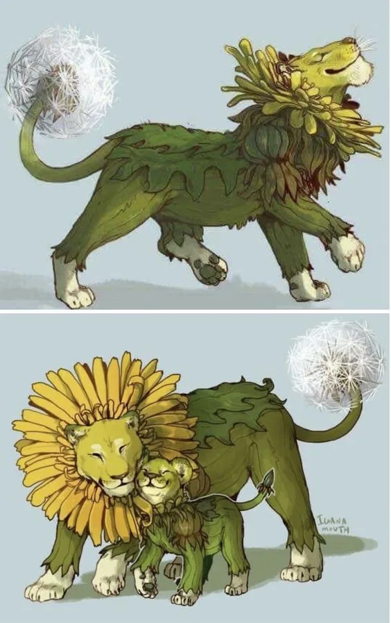 pinterest image size