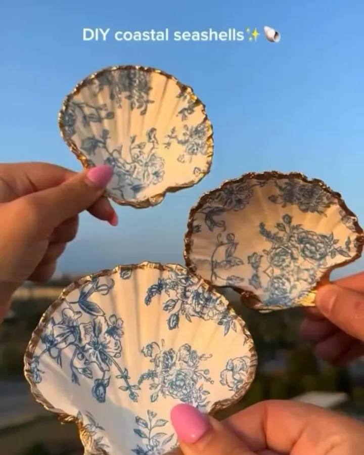 diy coastal sea shells wedding