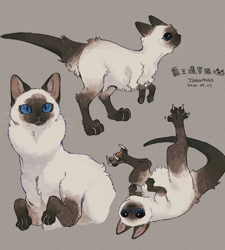pinterest image size