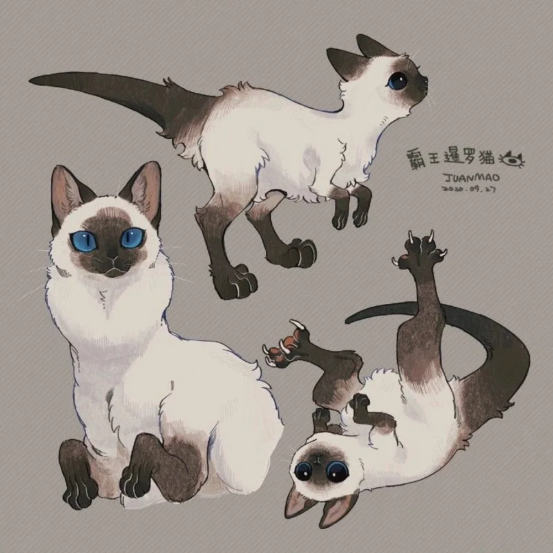 pinterest image size