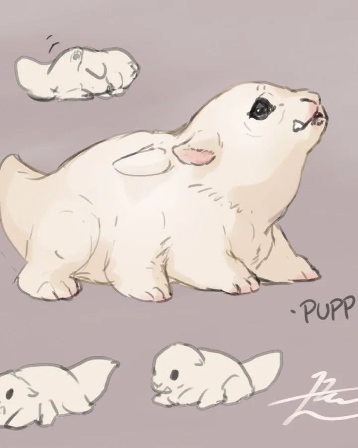 pinterest image size