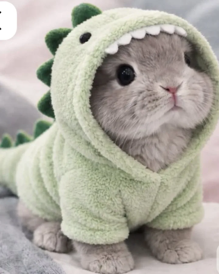 pinterest image size
