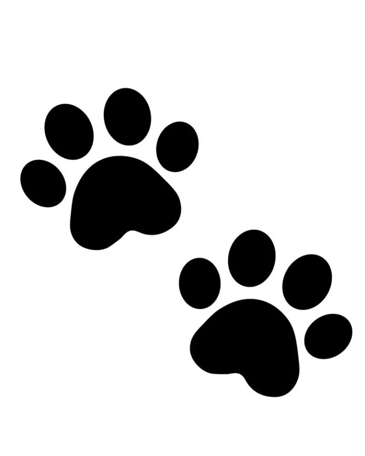 pinterest image size