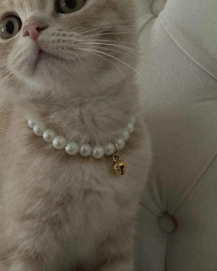 handmade pearl cat collar