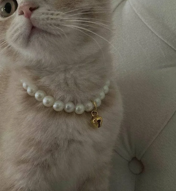 handmade pearl cat collar