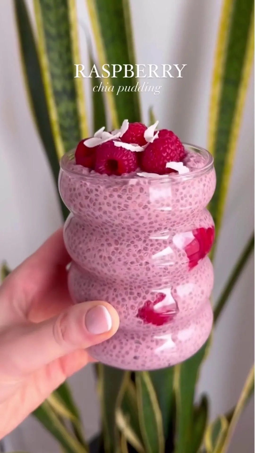 Raspberry Chia Pudding