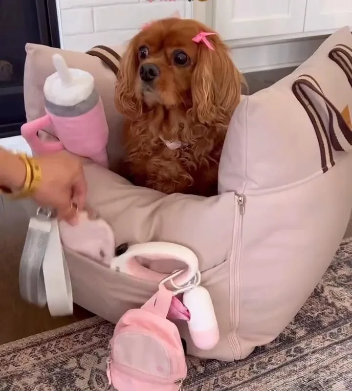 amazon pet essentials